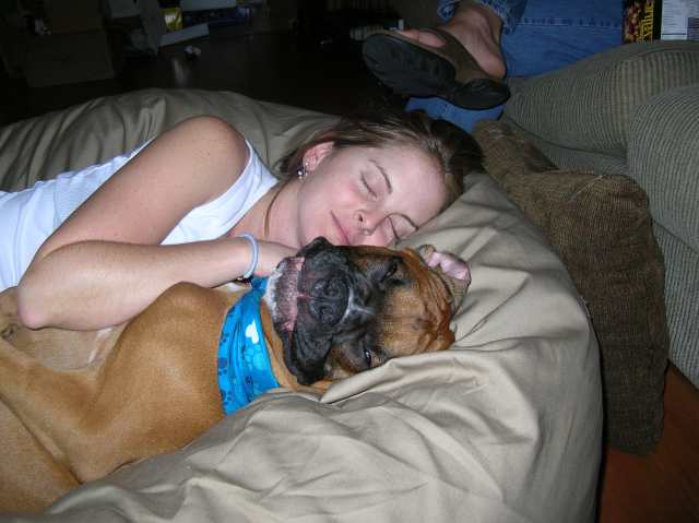 Christmas Day nap