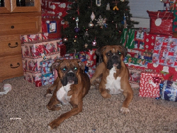 Christmas Eve