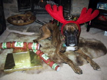 Christmas Greetings