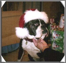 Christmas hat