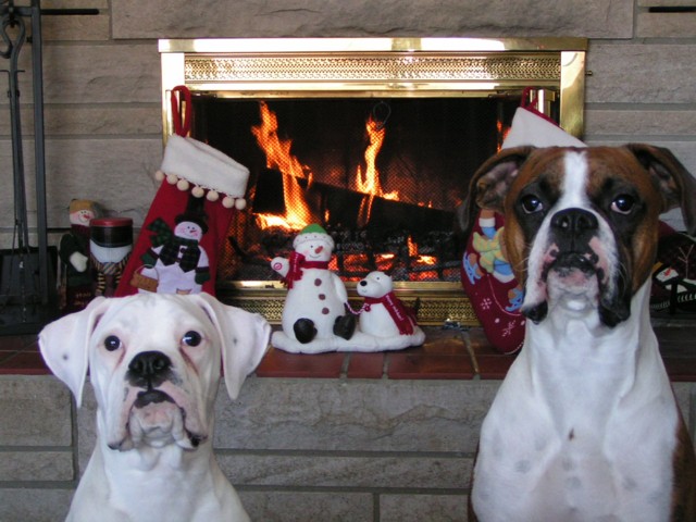 Christmas pic