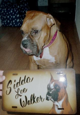 Christmas present for mommy, does it look like me?