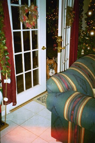 Christmas Time