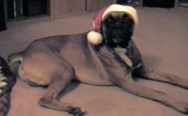 Christmas