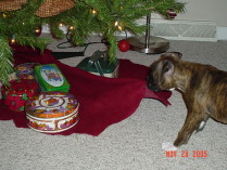 Christmas