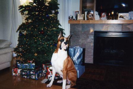 christmas1