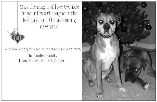 CHRISTMAS_CARD_BACK_bw