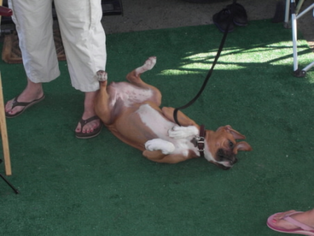 Chula on her Back