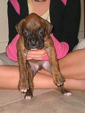 Chuvalo 4 wks