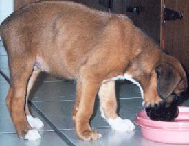 Chyna having a snack
