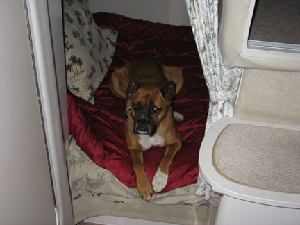 Chyna relaxing on the boat