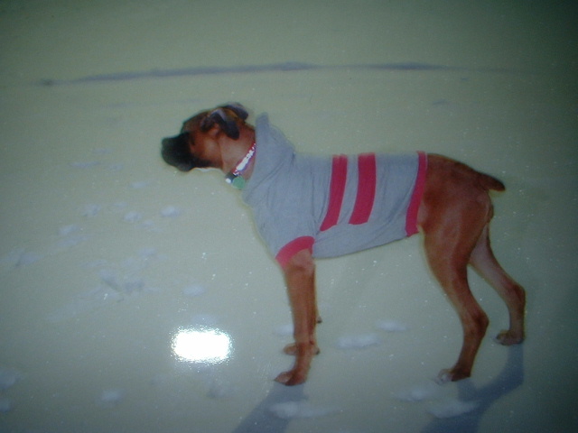 Cin and her Super cool Sweater