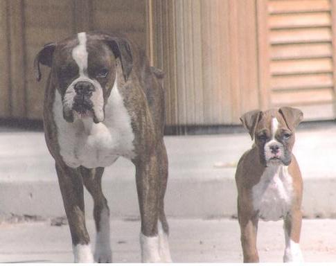 Cinch and his Dad