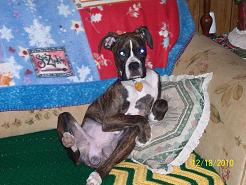 Cindel_Loungin