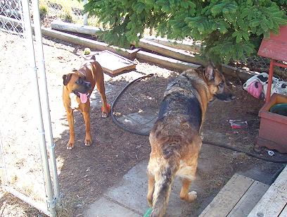 Cinny and Brandy