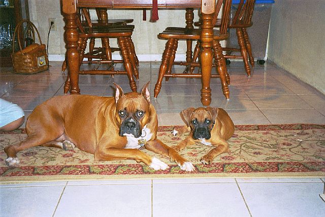 Cisco and Leila together