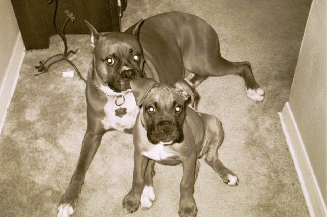 Cisco and Leila