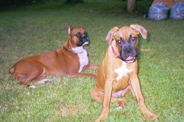 Cisco and Leila