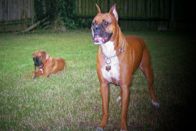 Cisco and Leila