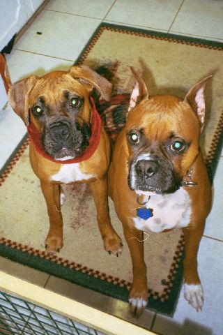 Cisco and Leila