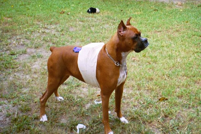 Cisco with Holter Monitor