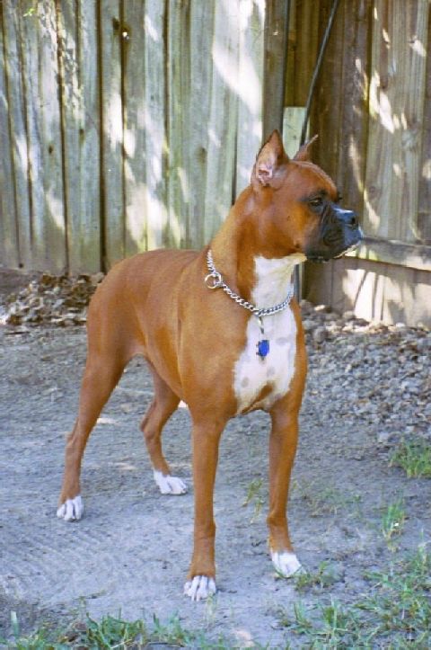 Cisco