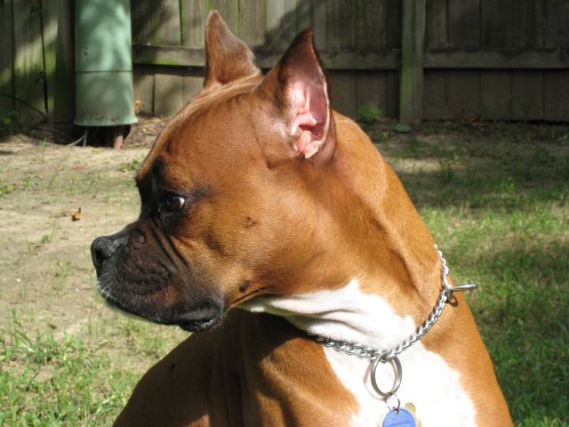 Cisco's profile