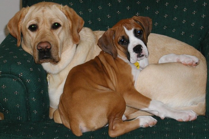 Claire and Elliot snuggling