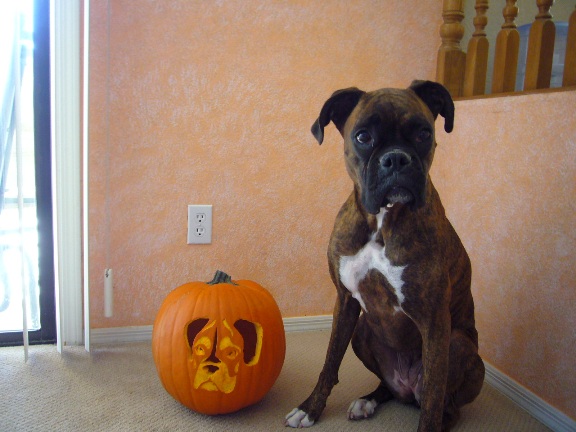 Clare and her pumpkin