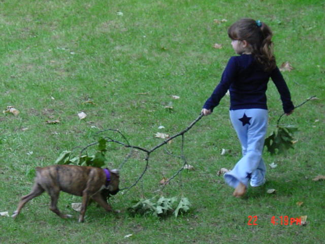 cleaning the yard