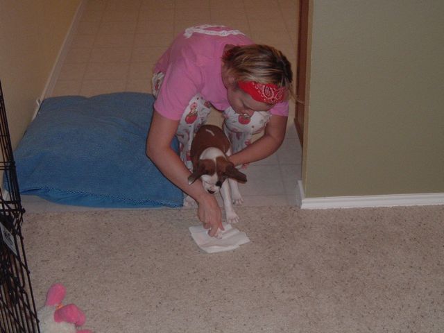 Cleaning up after herself