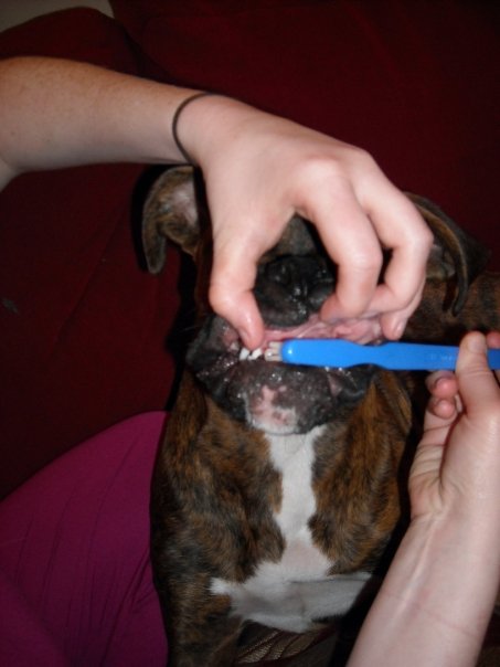 cleanteeth
