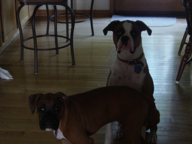 Cleo and Cairo 2