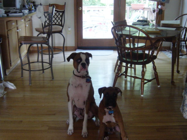 Cleo and Cairo