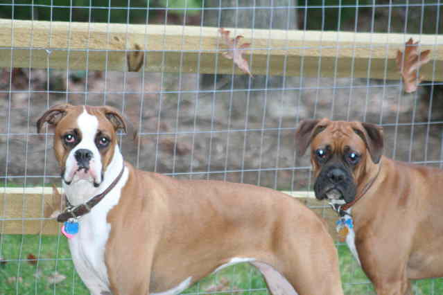 Cleo_and_Cairo_2