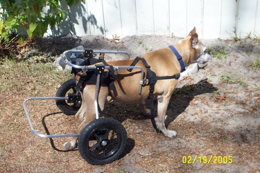 Cleo's new wheels