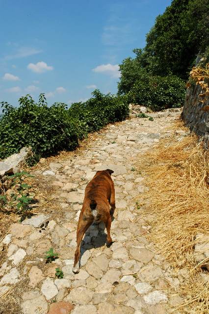 Climb Henri!