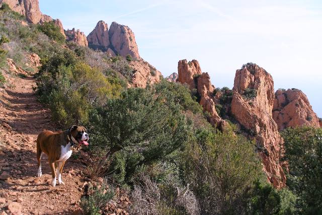Climbing