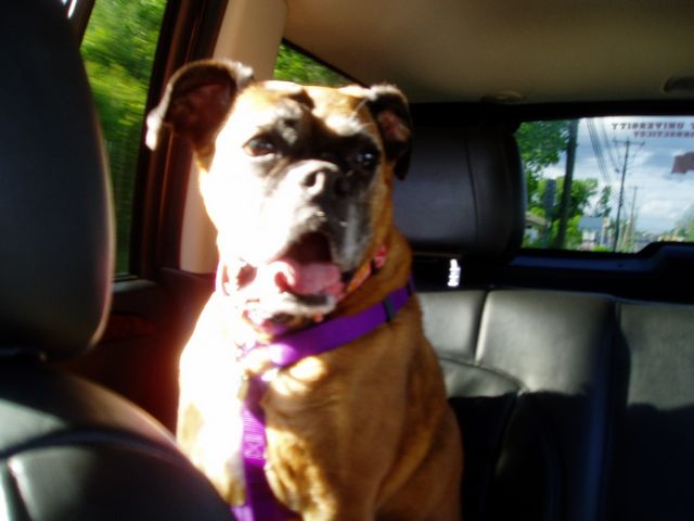 Clio taking in the rays