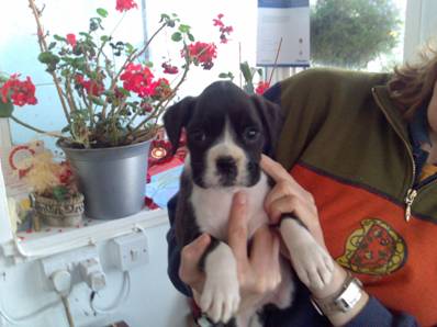 clip_image002