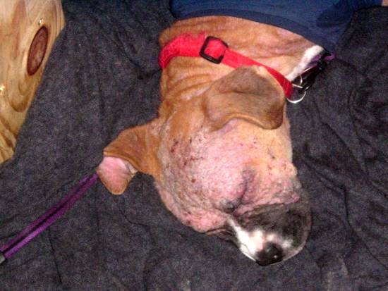 close-up of her head May 21