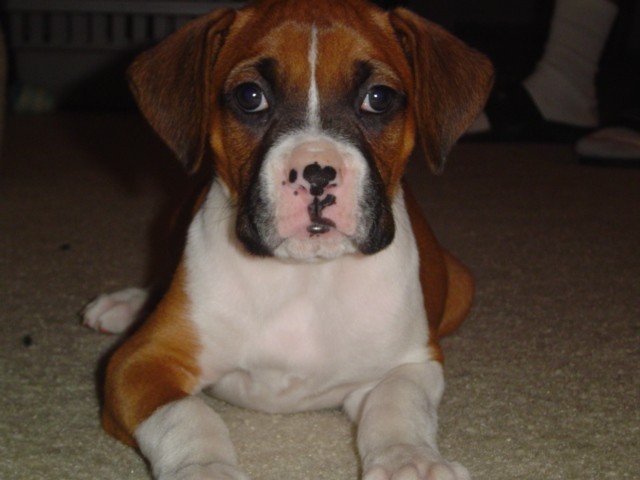 Close up!