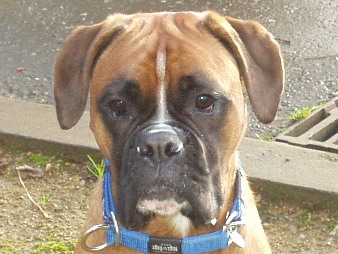 Close Up!!