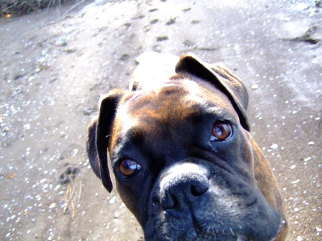 Close up