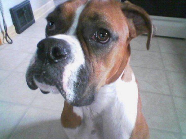 Close up!!