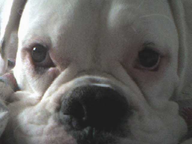 Close Up