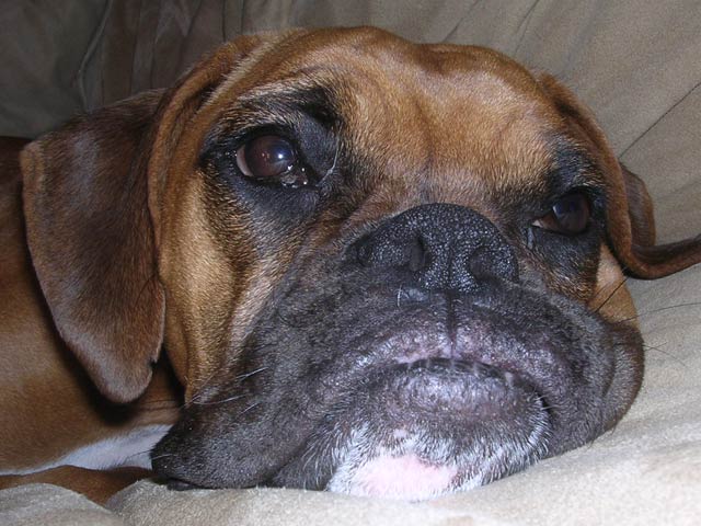 Close Up
