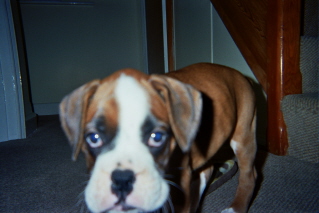 Close up!