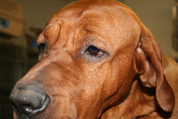 Close Up