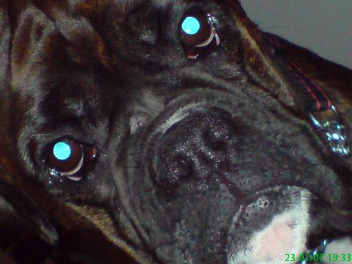 Close up